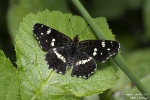 Landkärtchen250714135928